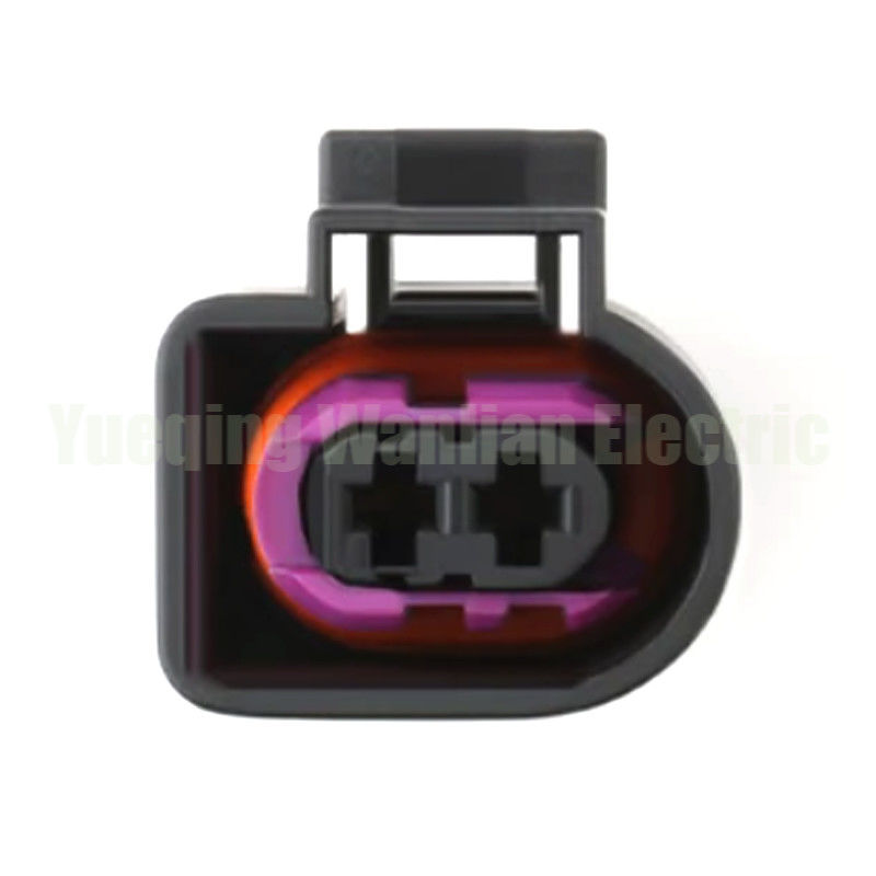 2 Pin 4D0971992A 60404011 4D0 971 992 A Mobil Disegel Konektor Otomotif Pompa Minyak Tekanan Tinggi Cabling Harness Sockets